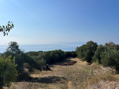 Land plot 1.614sqm for sale-Kefalonia » Eleioi-Pronoi