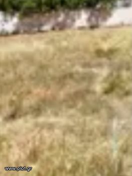 Land plot 857sqm for sale-Alimos » Kefallinion