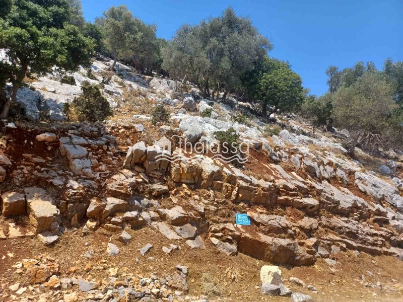 Οικόπεδο 6.000 τ.μ. πρός πώληση, Ν. Κεφαλονιάς, Κεφαλονιά