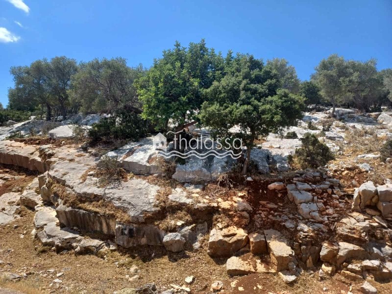 Οικόπεδο 6.000 τ.μ. πρός πώληση, Ν. Κεφαλονιάς, Κεφαλονιά