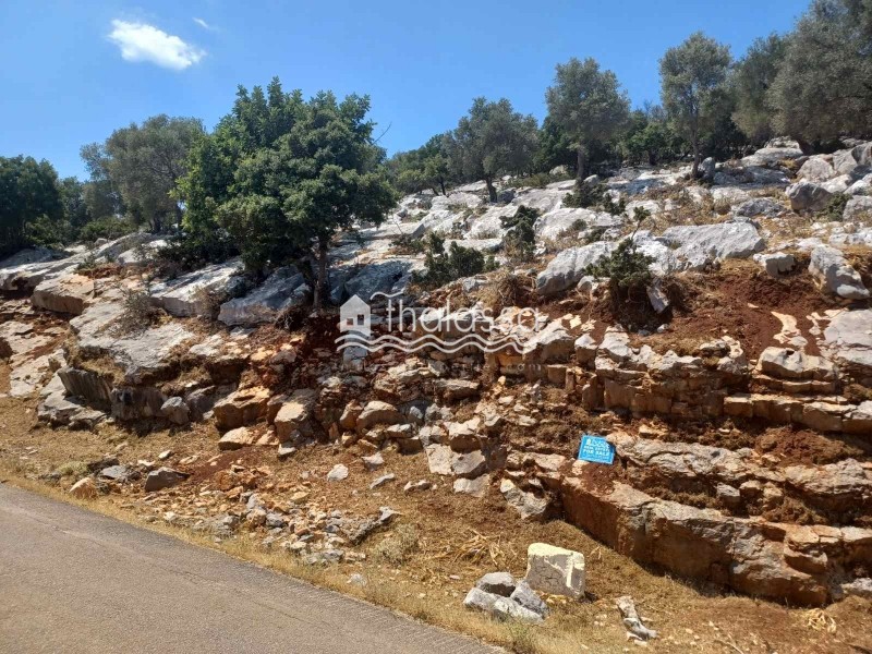 Οικόπεδο 6.000 τ.μ. πρός πώληση, Ν. Κεφαλονιάς, Κεφαλονιά