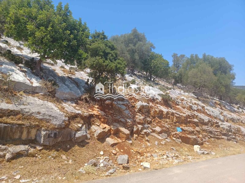 Οικόπεδο 6.000 τ.μ. πρός πώληση, Ν. Κεφαλονιάς, Κεφαλονιά