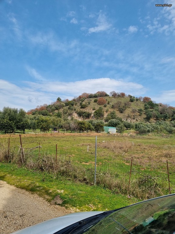 Αγροτεμάχια 5.312 τ.μ. προς πώληση, Νέα Σελεύκεια