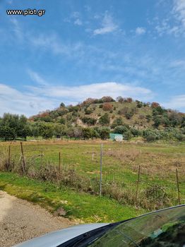 Αγροτεμάχια 5.500τ.μ. για πώληση-Ηγουμενίτσα » Νέα σελεύκεια