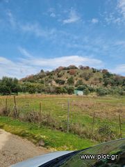 Αγροτεμάχια 5.312 τ.μ. για πώληση
