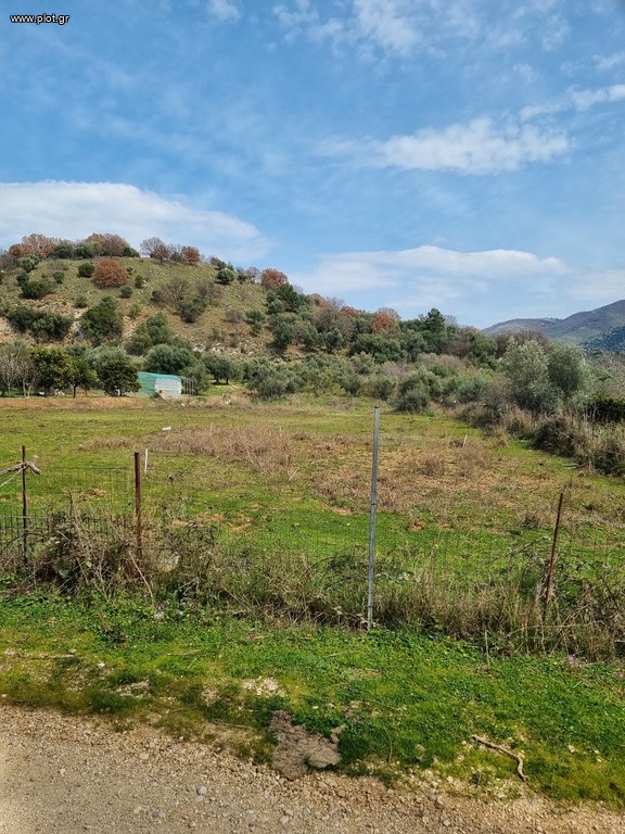 Αγροτεμάχια 5.312 τ.μ. προς πώληση, Νέα Σελεύκεια