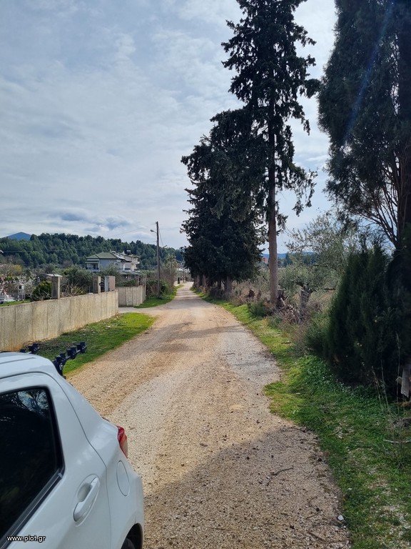 Αγροτεμάχια 5.312 τ.μ. προς πώληση, Νέα Σελεύκεια