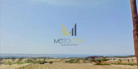 Αγροτεμάχια 3.850 τ.μ. για πώληση