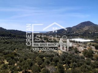 Αγροτεμάχια 8.000 τ.μ. για πώληση, Ν. Λασιθίου, Ιεράπετρα-thumb-3