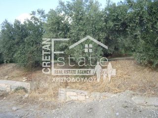 Αγροτεμάχια 8.000 τ.μ. για πώληση, Ν. Λασιθίου, Ιεράπετρα-thumb-21