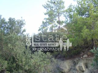 Αγροτεμάχια 8.000 τ.μ. για πώληση, Ν. Λασιθίου, Ιεράπετρα-thumb-24