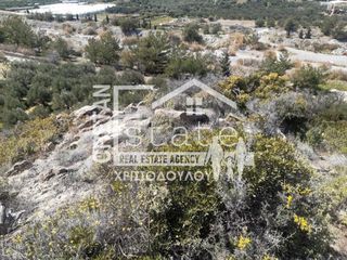 Αγροτεμάχια 8.000 τ.μ. για πώληση, Ν. Λασιθίου, Ιεράπετρα-thumb-6