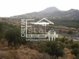 Αγροτεμάχια 8.000 τ.μ. για πώληση, Ν. Λασιθίου, Ιεράπετρα-thumb-14