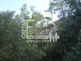 Αγροτεμάχια 8.000 τ.μ. για πώληση, Ν. Λασιθίου, Ιεράπετρα-thumb-23