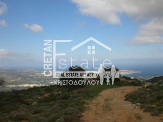 Αγροτεμάχια 8.000 τ.μ. για πώληση, Ν. Λασιθίου, Ιεράπετρα-thumb-10
