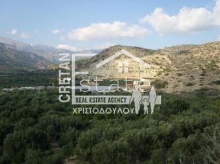 Αγροτεμάχια 8.000 τ.μ. για πώληση, Ν. Λασιθίου, Ιεράπετρα-thumb-13