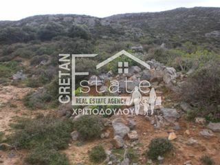 Αγροτεμάχια 8.000 τ.μ. για πώληση, Ν. Λασιθίου, Ιεράπετρα-thumb-8