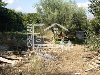Αγροτεμάχια 8.000 τ.μ. για πώληση, Ν. Λασιθίου, Ιεράπετρα-thumb-17