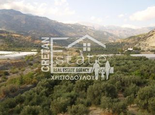 Αγροτεμάχια 8.000 τ.μ. για πώληση, Ν. Λασιθίου, Ιεράπετρα-thumb-12