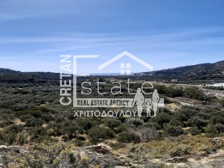 Αγροτεμάχια 8.000τ.μ. για πώληση-Ιεράπετρα » Μύρτος
