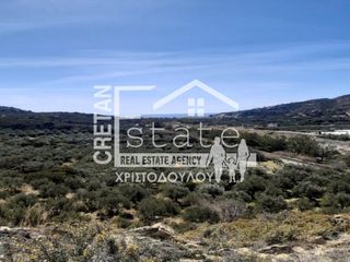 Αγροτεμάχια 8.000 τ.μ. για πώληση