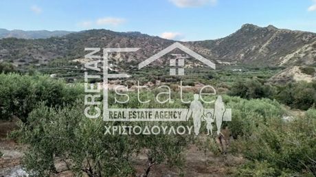 Αγροτεμάχια 5.500τ.μ. για πώληση-Ιεράπετρα » Μύρτος