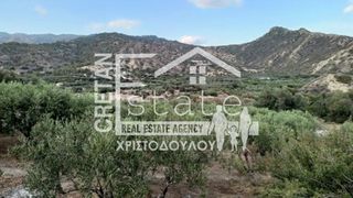 Αγροτεμάχια 5.500 τ.μ. για πώληση