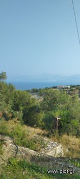 Οικόπεδο 7.700 τ.μ. για πώληση