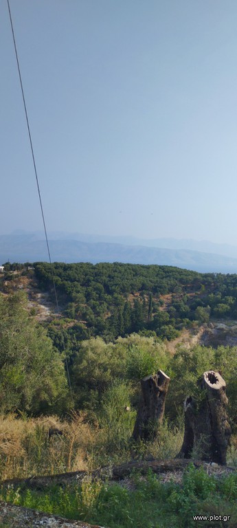 Οικόπεδο 7.700 τ.μ. προς πώληση, Κασσιόπη