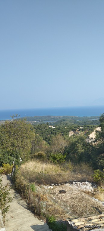 Οικόπεδο 7.700 τ.μ. προς πώληση, Κασσιόπη