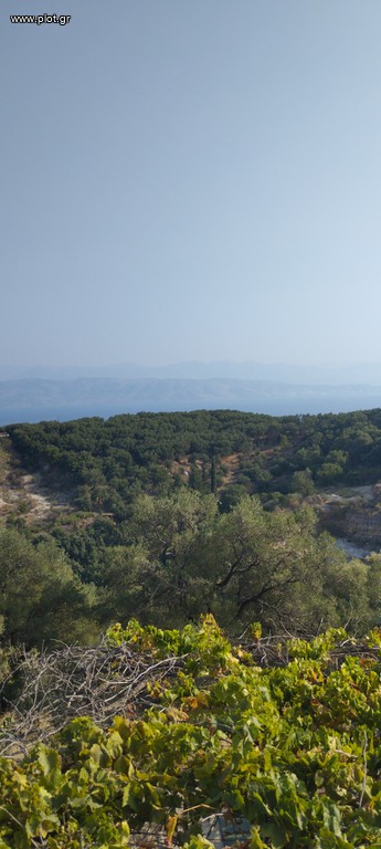 Οικόπεδο 7.700 τ.μ. προς πώληση, Κασσιόπη