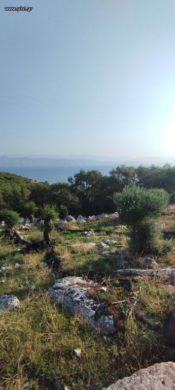 Οικόπεδο 7.700 τ.μ. προς πώληση, Κασσιόπη