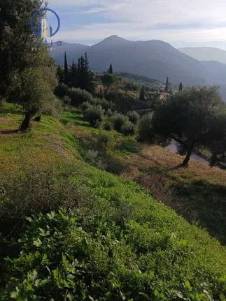 Land plot 730 sqm for sale, Achaia, Patra