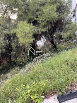 Οικόπεδο 159τ.μ. για πώληση-Χαϊδάρι » Δάσος