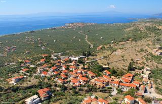 Οικόπεδο 364 τ.μ. για πώληση, Μεσσηνία, Λεύκτρος-thumb-10
