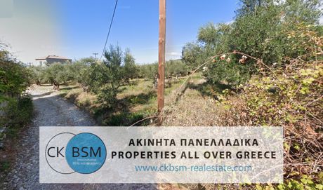 Οικόπεδο 364τ.μ. για πώληση-Λεύκτρος » Ρίγκλια