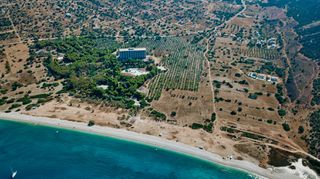 Αγροτεμάχια 5.375 τ.μ. προς πώληση, Σαλάντι-thumb-8