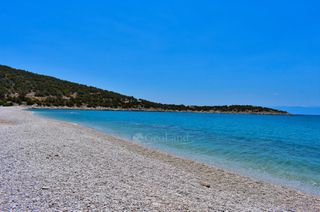 Αγροτεμάχια 5.375 τ.μ. προς πώληση, Σαλάντι-thumb-2