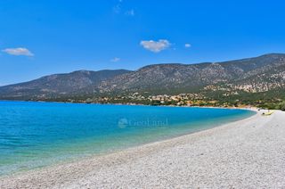 Αγροτεμάχια 5.375 τ.μ. προς πώληση, Σαλάντι-thumb-15