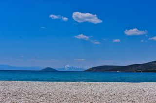 Αγροτεμάχια 5.375 τ.μ. προς πώληση, Σαλάντι-thumb-13