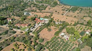 Αγροτεμάχια 4.012 τ.μ. προς πώληση, Πορτοχέλι-thumb-7