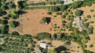 Αγροτεμάχια 4.012 τ.μ. προς πώληση, Πορτοχέλι-thumb-10