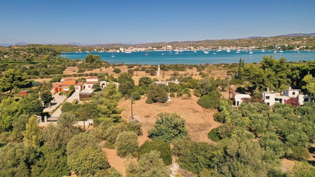 Αγροτεμάχια 4.012 τ.μ. προς πώληση, Πορτοχέλι
