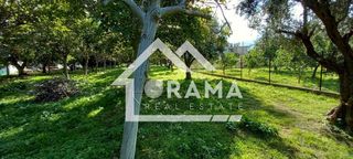 Οικόπεδο 4.040 τ.μ. για πώληση, Αχαΐα, Αίγιο-thumb-5
