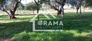 Οικόπεδο 4.040 τ.μ. για πώληση, Αχαΐα, Αίγιο-thumb-11