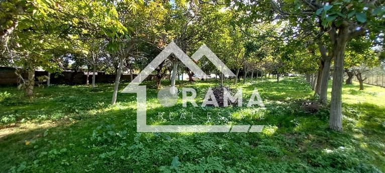 Land plot 4.040 sqm for sale, Achaia, Aigio