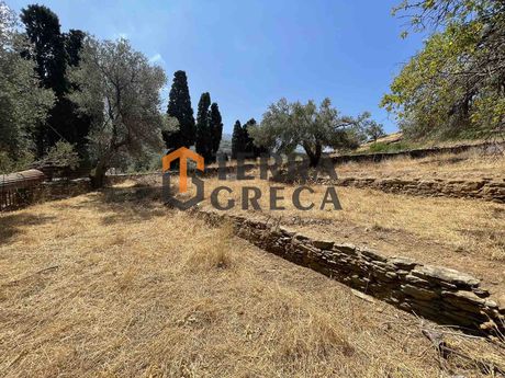 Parcel 7.600sqm for sale-Andros