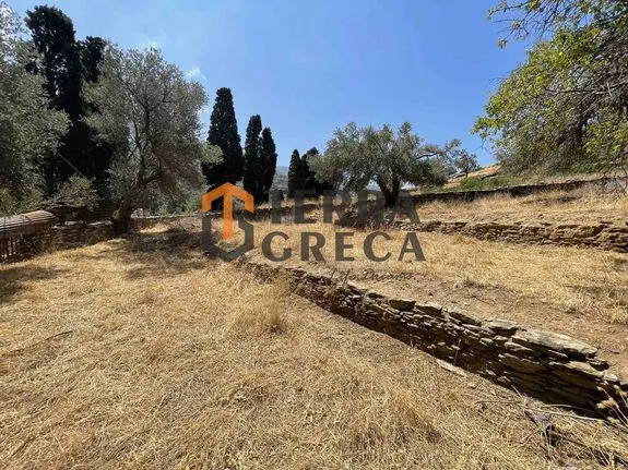 Parcel 7.600 sqm for sale, Cyclades, Andros