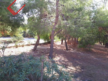 Οικόπεδο 807 τ.μ. για πώληση