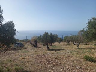 Οικόπεδο 5.587 τ.μ. για πώληση